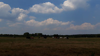 Boevenheuvel ...7