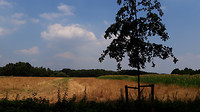 Boevenheuvel ...8