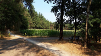 Riethoven 25-07-2018...5