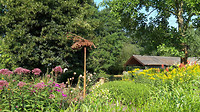 bijen en bloementuin...6