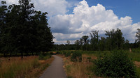 leenderbos- leenderstrijp  3