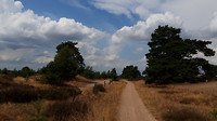 leenderbos- leenderstrijp  6