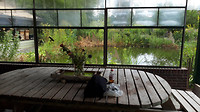 Leenderbos-Gastel ..5