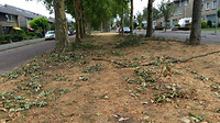 Leenderbos-Gastel ..8
