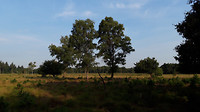 Sterksel-Heeze..2
