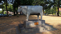 Sterksel-Heeze..4