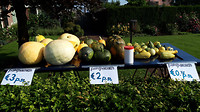 Sterksel-Heeze..7