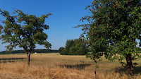 Neerpelt-Overpelt ..4