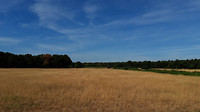 rondje riethoven 7
