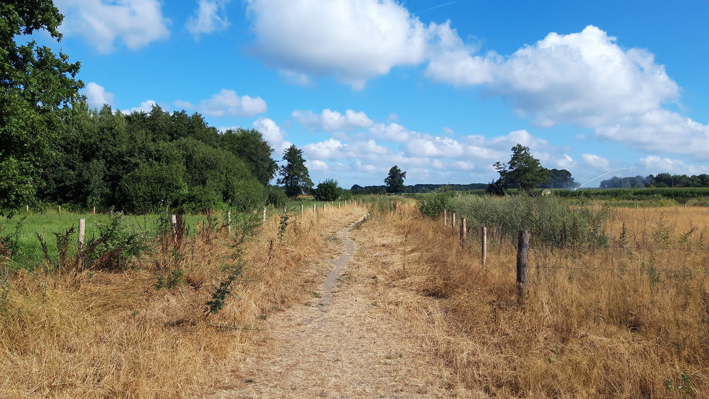 Grote Heide Leende ..1