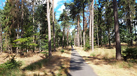 Grote Heide Leende ..6