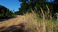 Leenderbos-Budel 2