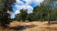 Soerendonk - Gastel 2
