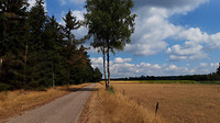 Soerendonk - Gastel 8