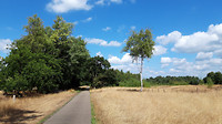 Rondje Lommel  6