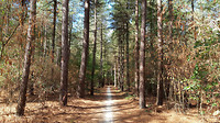 Riethoven wandelen 2