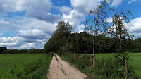 Riethoven wandelen 8