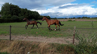 Kerkrondje 6