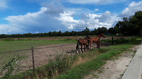 Kerkrondje 7