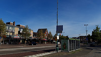 grote heide- heidehapje 4