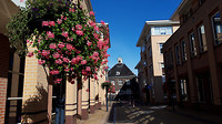 grote heide- heidehapje 5