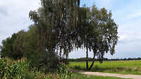 rondje neerpelt 7