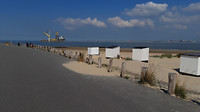 Breskens 7
