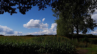 Wandelen Riethoven 10.5 km 2