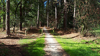 Wandelen Riethoven 10.5 km 5