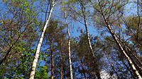 Wandelen Riethoven 10.5 km 7