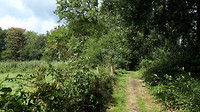 wandelen langs de Dommel 2