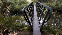 wandelen langs de Dommel 3