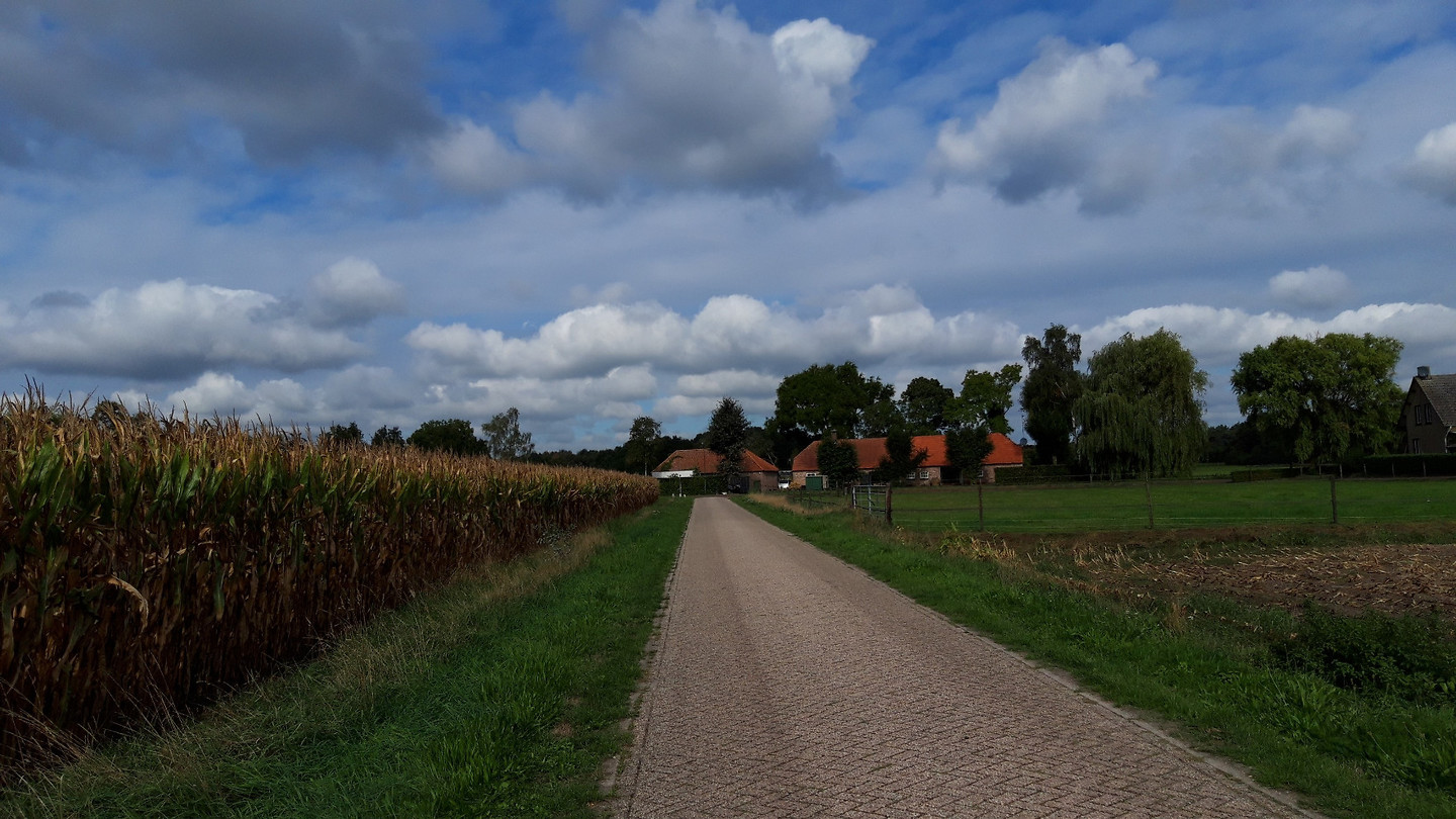 13-09-2018..5