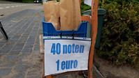 22-09-2018...6