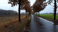 12-11-2018...2