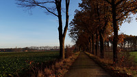 14-11-2018...7