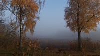 16-11-2018...2