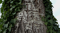 22-11-2018.....4