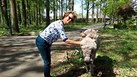 strabrechtse hei 5