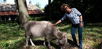 strabrechtse hei 6