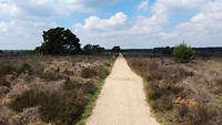 leenderbos-mapie 4