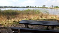 leenderbos-mapie 7