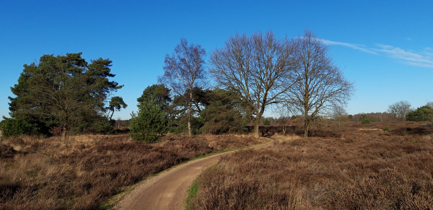 Wandelen En Fietsen 2019 December Foto s Jip En Janneke s Reisblog wandelen-en-fietsen-2019-december-foto-s-jip-en-janneke-s-reisblog