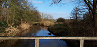 000355