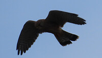 000508