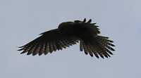 000577
