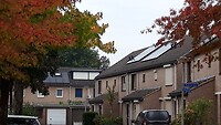 IMG_100065