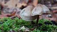 IMG_100102