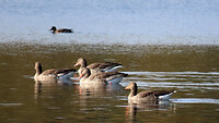 IMG_100097
