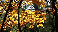 IMG_100105